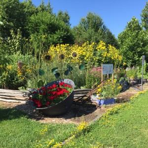 Heritage Native Gardens